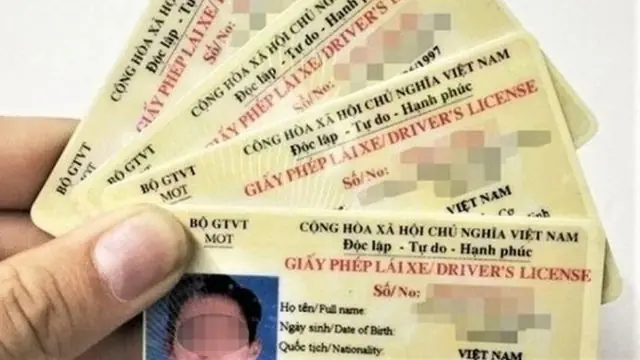 Sử dụng bằng lái giả khi tham gia giao thông | Sống và làm việc theo pháp luật | 19/10/2025